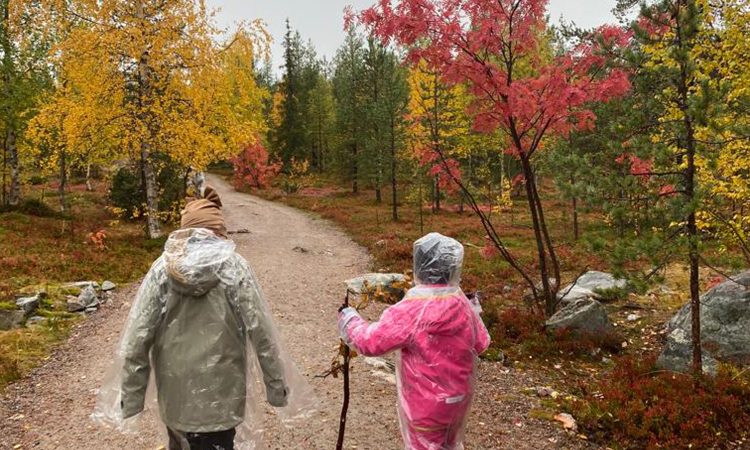 lapsia vaeltamassa ruskaisessa metsässä